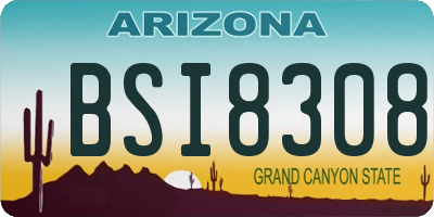 AZ license plate BSI8308