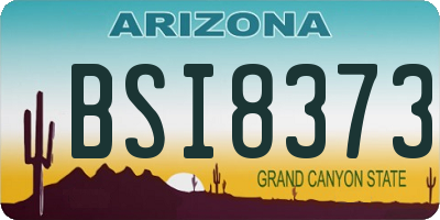 AZ license plate BSI8373