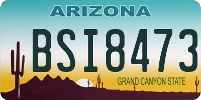 AZ license plate BSI8473
