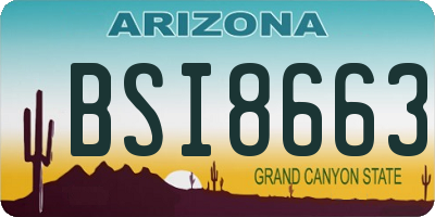 AZ license plate BSI8663