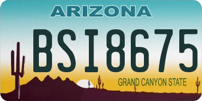 AZ license plate BSI8675