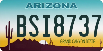 AZ license plate BSI8737
