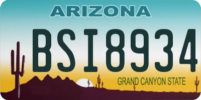 AZ license plate BSI8934