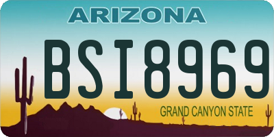 AZ license plate BSI8969