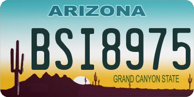 AZ license plate BSI8975