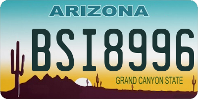 AZ license plate BSI8996