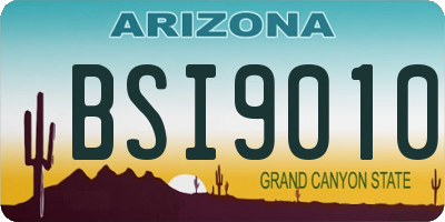 AZ license plate BSI9010
