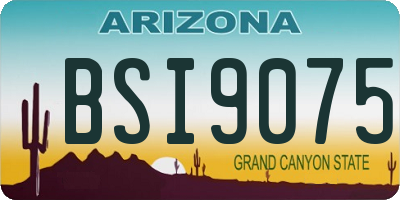 AZ license plate BSI9075