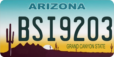 AZ license plate BSI9203