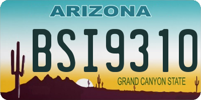 AZ license plate BSI9310
