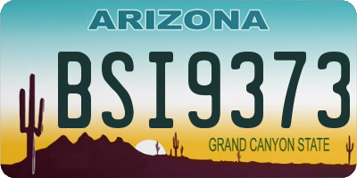 AZ license plate BSI9373