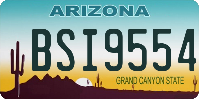 AZ license plate BSI9554