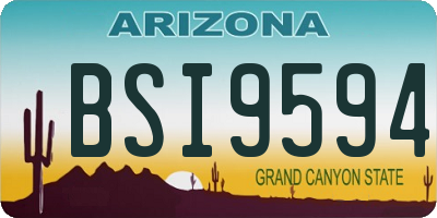AZ license plate BSI9594