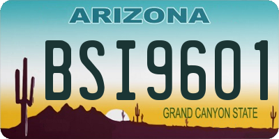 AZ license plate BSI9601