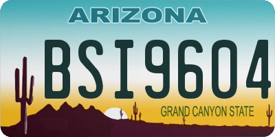 AZ license plate BSI9604