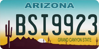 AZ license plate BSI9923