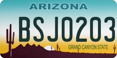 AZ license plate BSJ0203