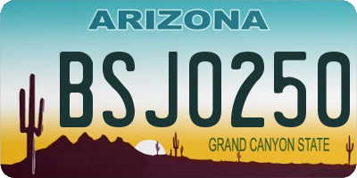 AZ license plate BSJ0250