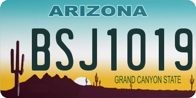 AZ license plate BSJ1019