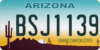 AZ license plate BSJ1139