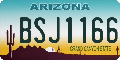AZ license plate BSJ1166