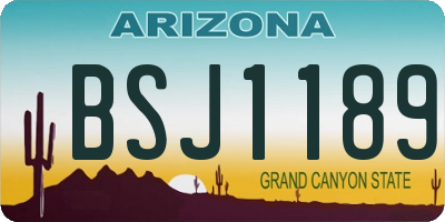 AZ license plate BSJ1189