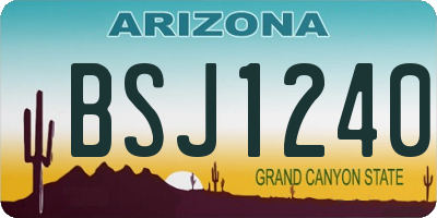 AZ license plate BSJ1240