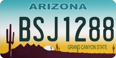 AZ license plate BSJ1288