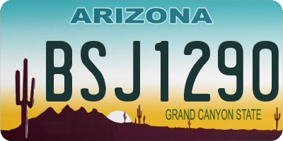 AZ license plate BSJ1290