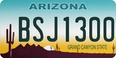 AZ license plate BSJ1300