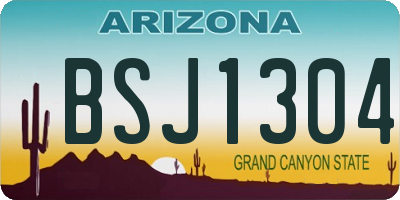 AZ license plate BSJ1304