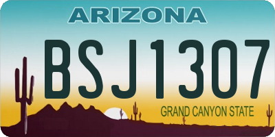 AZ license plate BSJ1307