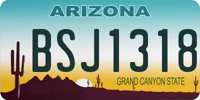 AZ license plate BSJ1318