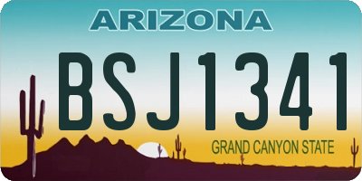 AZ license plate BSJ1341