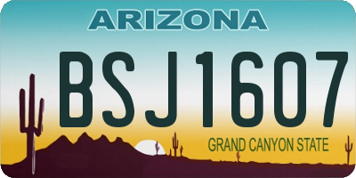 AZ license plate BSJ1607