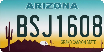 AZ license plate BSJ1608