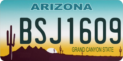 AZ license plate BSJ1609