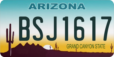 AZ license plate BSJ1617