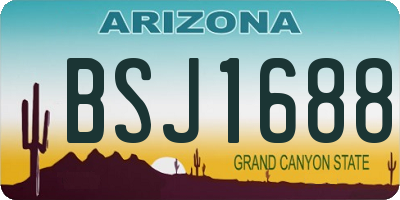 AZ license plate BSJ1688