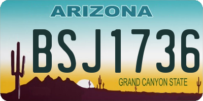 AZ license plate BSJ1736