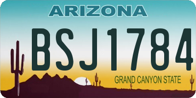 AZ license plate BSJ1784