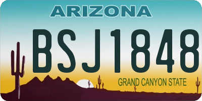 AZ license plate BSJ1848