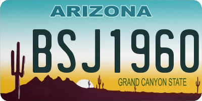 AZ license plate BSJ1960