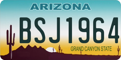AZ license plate BSJ1964