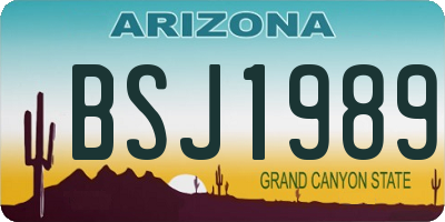 AZ license plate BSJ1989