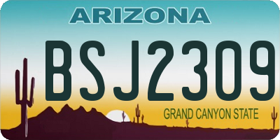 AZ license plate BSJ2309