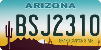 AZ license plate BSJ2310