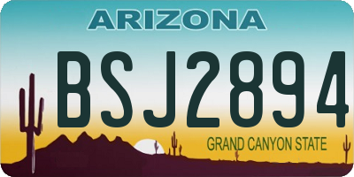 AZ license plate BSJ2894