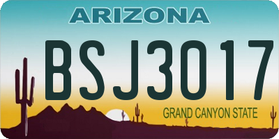 AZ license plate BSJ3017