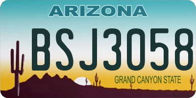 AZ license plate BSJ3058